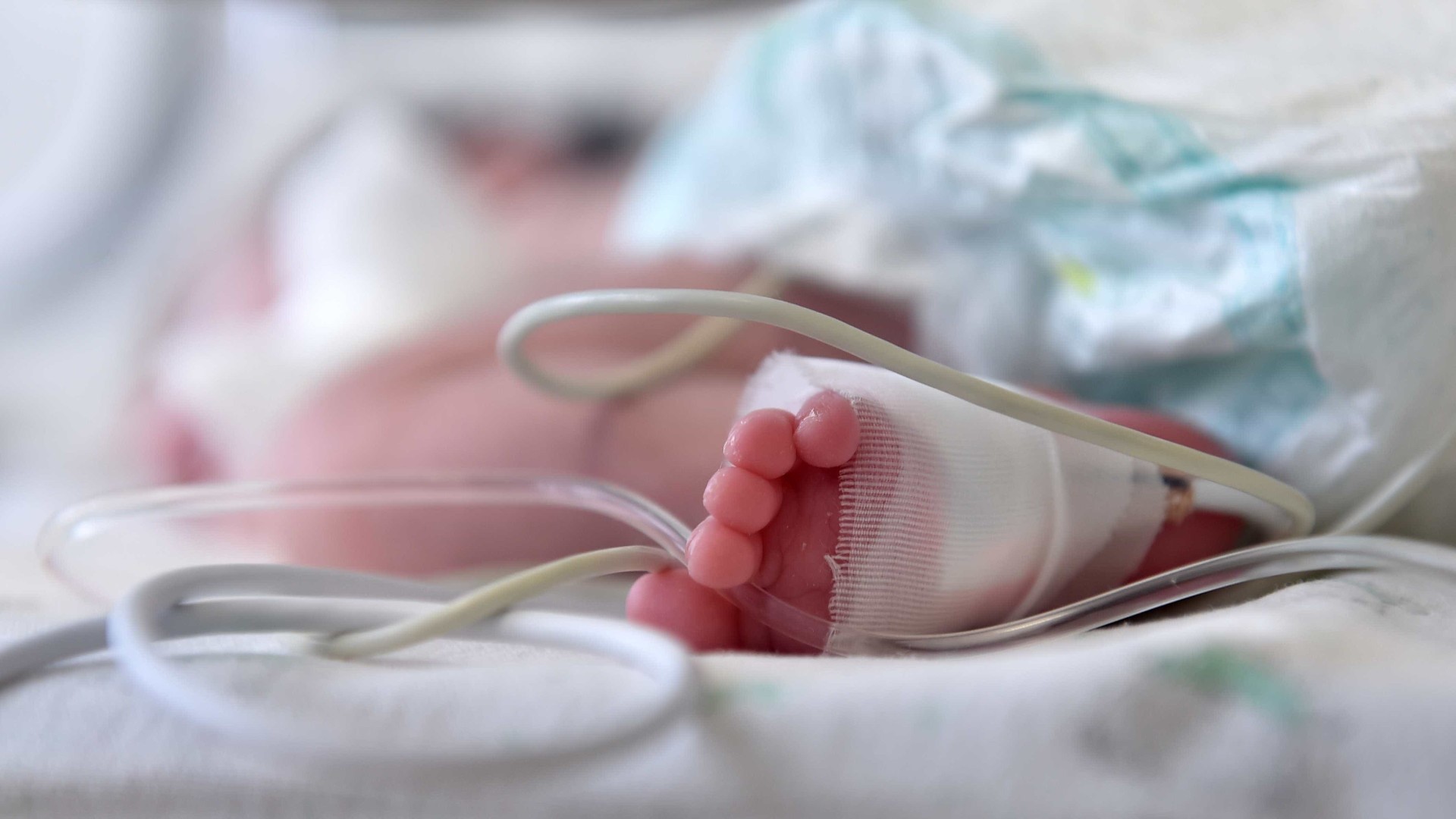 Bebé de 11 meses morre em Portimão enquanto esperava transferência hospitalar