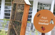 Famalicão abre cinco hotéis para insectos (não é fake news)