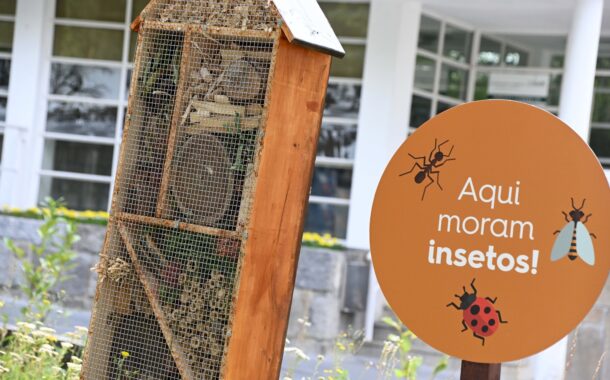 Famalicão abre cinco hotéis para insectos (não é fake news)