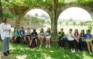 Projecto sensibiliza alunos de Braga para a importância da floresta
