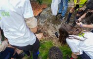 Brigada Verde de S. Jorge de Selho é inaugurada com desafio mundial City Nature Challenge em Guimarães