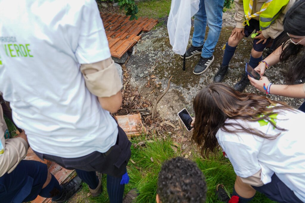 Brigada Verde de S. Jorge de Selho é inaugurada com desafio mundial City Nature Challenge em Guimarães