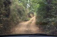 Barcelos já investiu nove milhões de euros para acabar com caminhos em terra batida