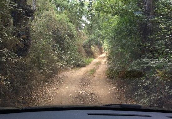 Barcelos já investiu nove milhões de euros para acabar com caminhos em terra batida