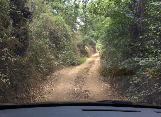 Barcelos já investiu nove milhões de euros para acabar com caminhos em terra batida
