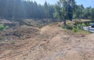 Braga alarga faixa de gestão de combustível na estrada da Falperra