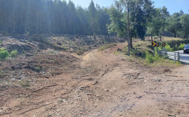 Braga alarga faixa de gestão de combustível na estrada da Falperra