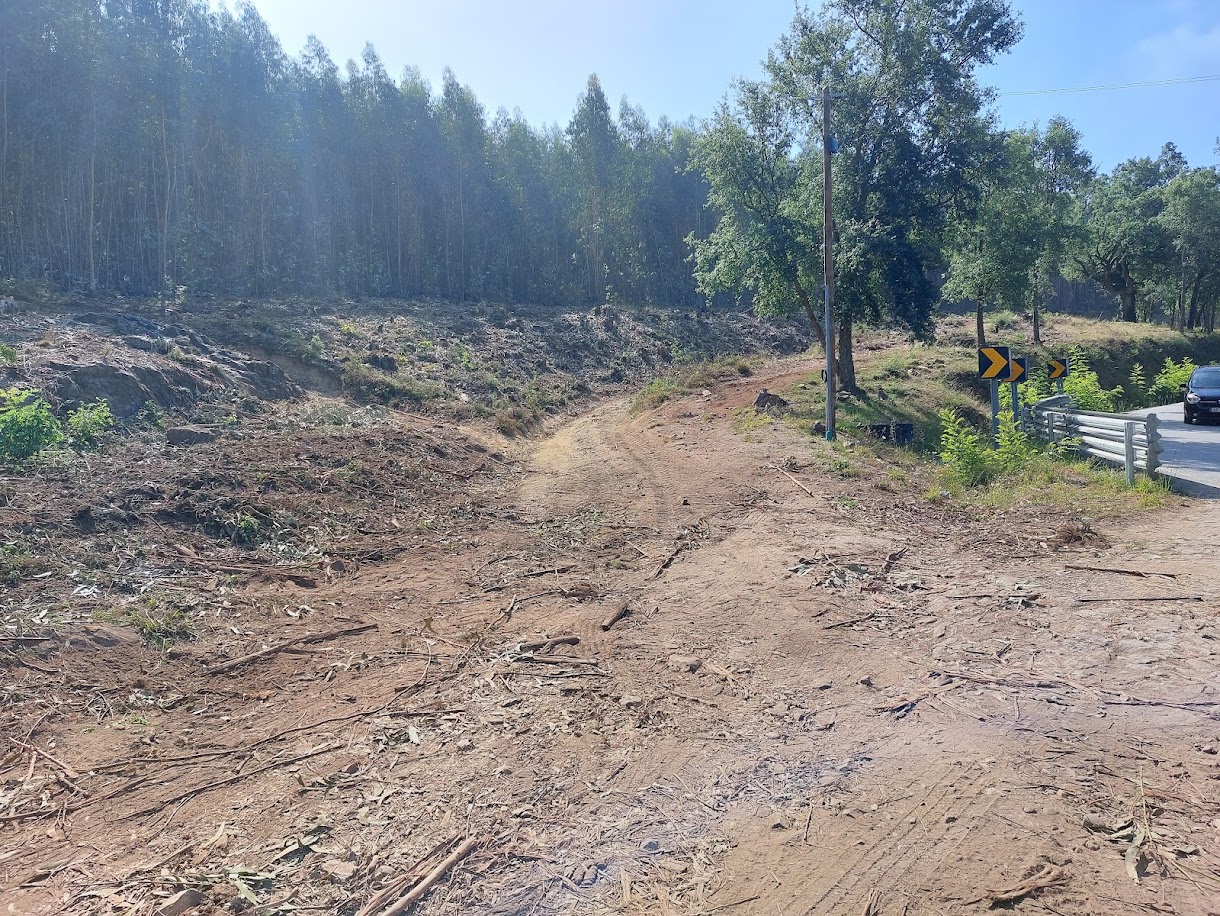 Braga alarga faixa de gestão de combustível na estrada da Falperra