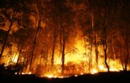 PSD não quer Braga “capital dos incêndios”