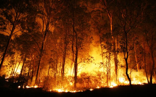 PSD não quer Braga “capital dos incêndios”
