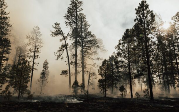 Populares apanham suspeito de atear fogos em Arcos de Valdevez