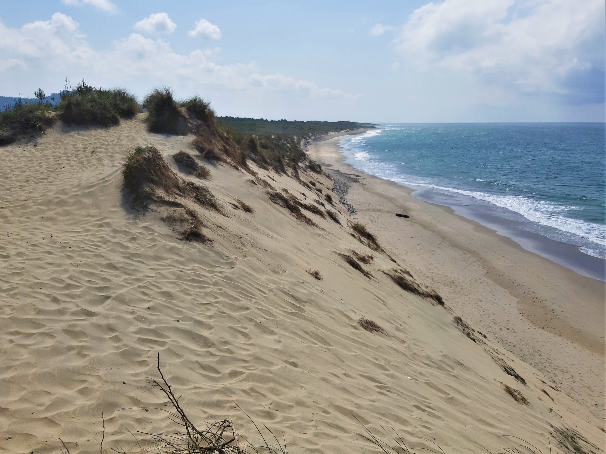 Erosão. Estudo da Câmara de Esposende conclui pela “urgência” da intervenção em quase todas praias do concelho