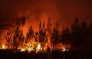 Ano de 2023 com menos 27% de fogos rurais e menos 70% de área ardida