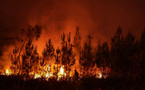 Ano de 2023 com menos 27% de fogos rurais e menos 70% de área ardida