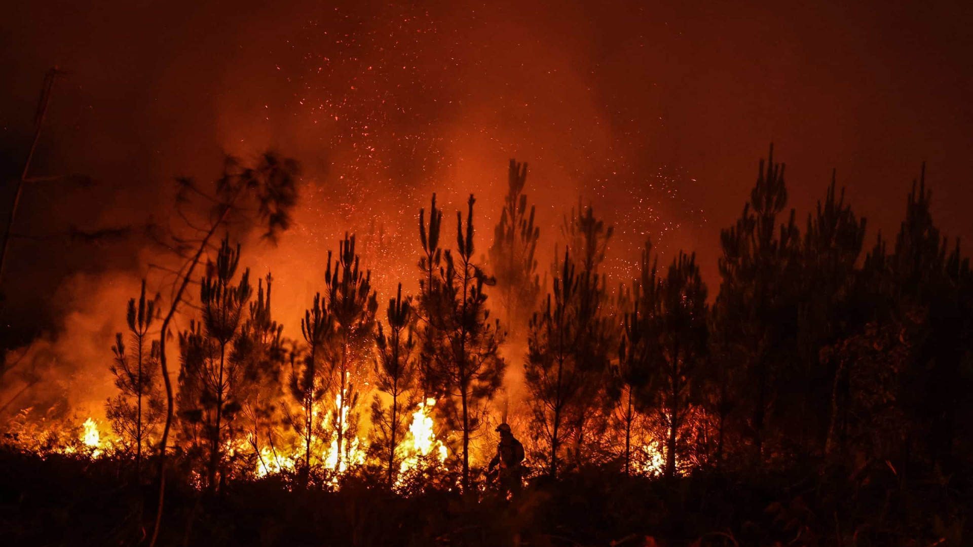 Ano de 2023 com menos 27% de fogos rurais e menos 70% de área ardida
