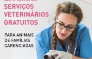 Câmara de Braga lança campanha de serviços veterinários a animais domésticos de famílias carenciadas