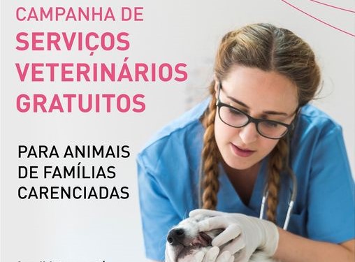 Câmara de Braga lança campanha de serviços veterinários a animais domésticos de famílias carenciadas