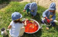 Programa ambiental desafiou crianças de Braga a explorar recreios das escolas