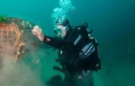 Voluntários limpam mar e praias todo o país