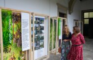 Comunidades intermunicipais minhotas mostram ‘Ares do Minho – o sentir da terra’ em Guimarães