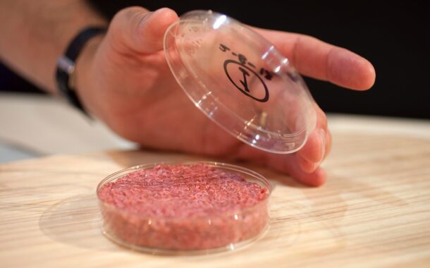 INL mostra como se fazem hambúrgueres em laboratório