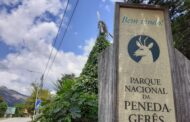“Anomalia técnica” obriga delimitação do Parque Nacional da Peneda-Gerês a nova consulta pública