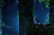 Concurso de fotografia ‘Braga Natural’ com inscrições abertas