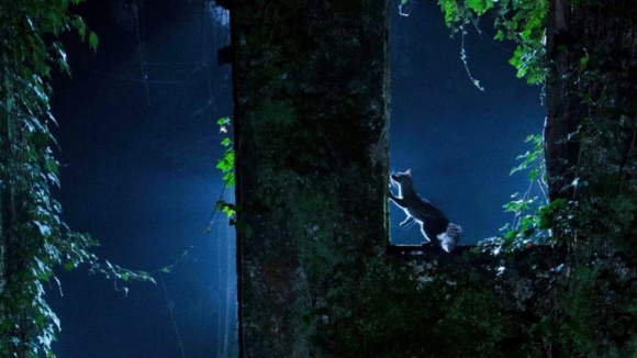 Concurso de fotografia ‘Braga Natural’ com inscrições abertas