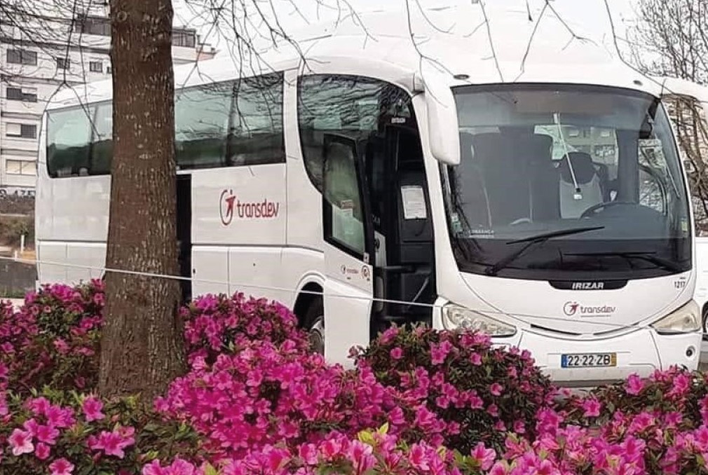 Área Metropolitana do Porto responsabiliza CIM do Cávado pelo fim do autocarro Braga-Porto via A3