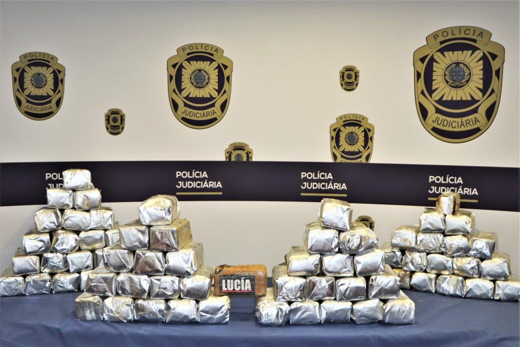 Nove acusados de tráfico de cocaína em contentores com destino a Barcelos