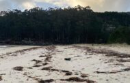 Autoridade Marítima Nacional faz plano de contingência e monitoriza plástico em praias espanholas