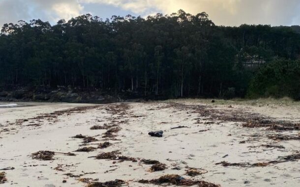 Autoridade Marítima Nacional faz plano de contingência e monitoriza plástico em praias espanholas