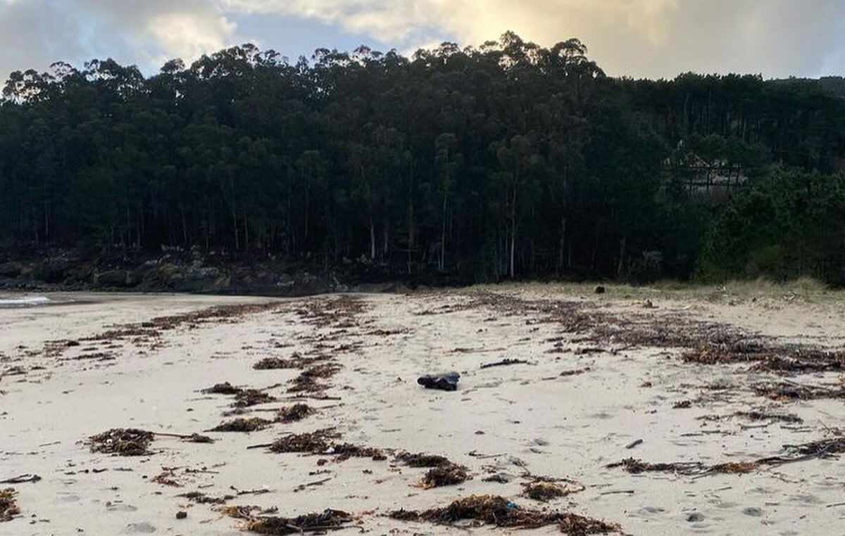 Autoridade Marítima Nacional faz plano de contingência e monitoriza plástico em praias espanholas
