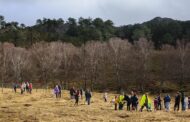 PNPG ‘ganha’ mais 200 carvalhos em Melgaço