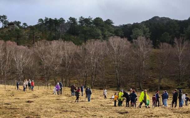 PNPG ‘ganha’ mais 200 carvalhos em Melgaço