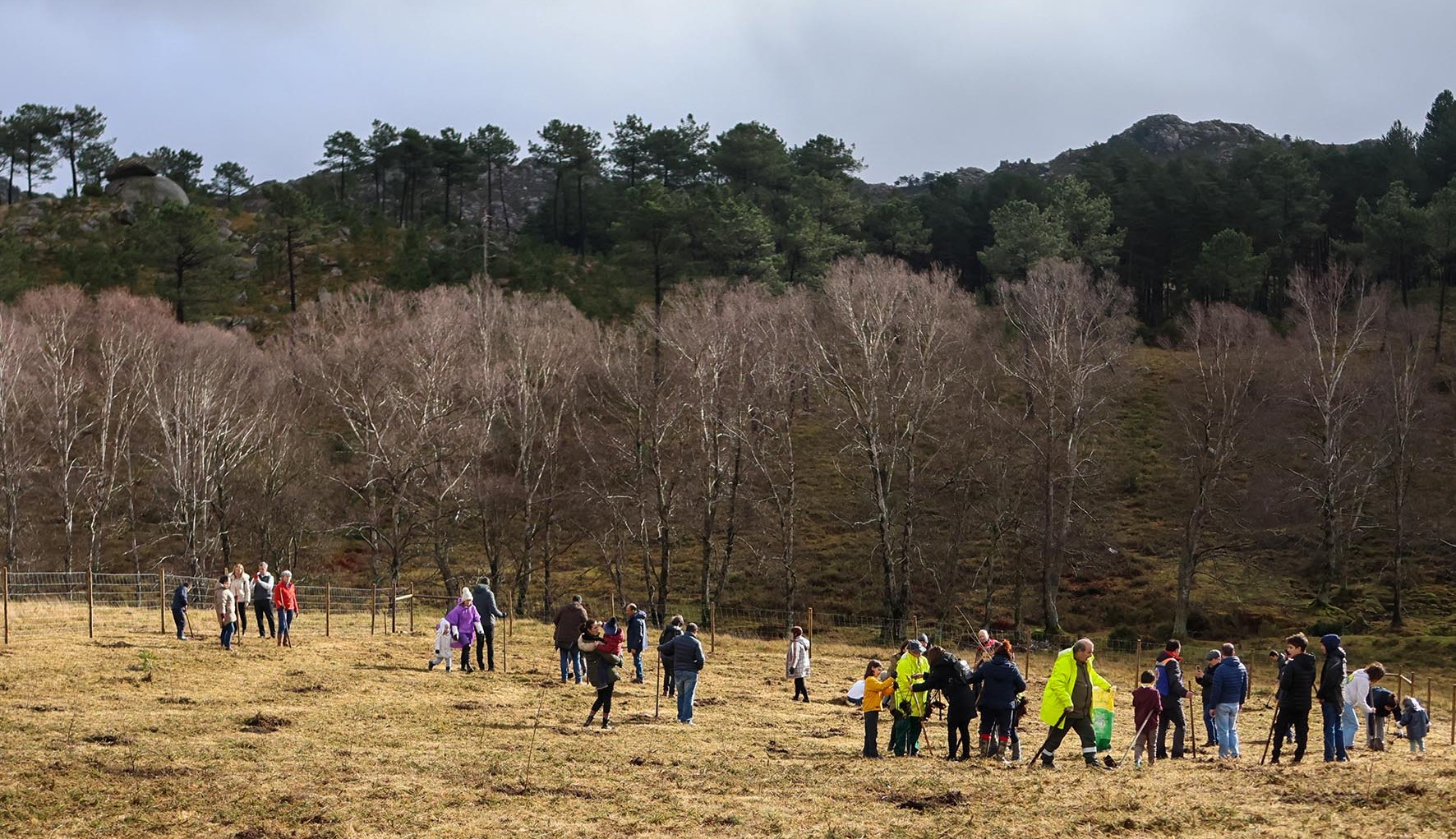 PNPG ‘ganha’ mais 200 carvalhos em Melgaço