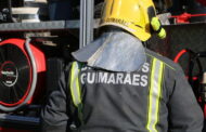 Bombeiro de Guimarães ferido em resgate de gato em Dezembro ainda está hospitalizado