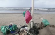Activista ambiental revela “tragédia de plásticos” em praia de Esposende