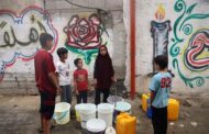 Comida em Gaza é “tão escassa que as pessoas estão a comer erva”, diz ONG