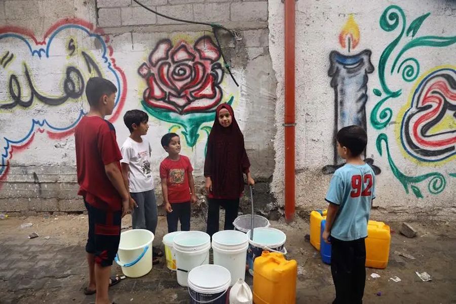 Comida em Gaza é “tão escassa que as pessoas estão a comer erva”, diz ONG