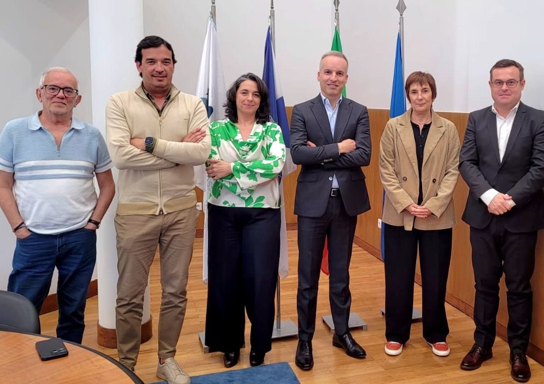 Eleições. Teresa Mota (Livre) quer “apoio efectivo” do Banco de Fomento Público à criação de cooperativas