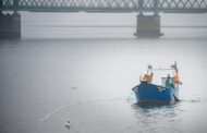Especialista defende proibição da pesca da lampreia devido à escassez