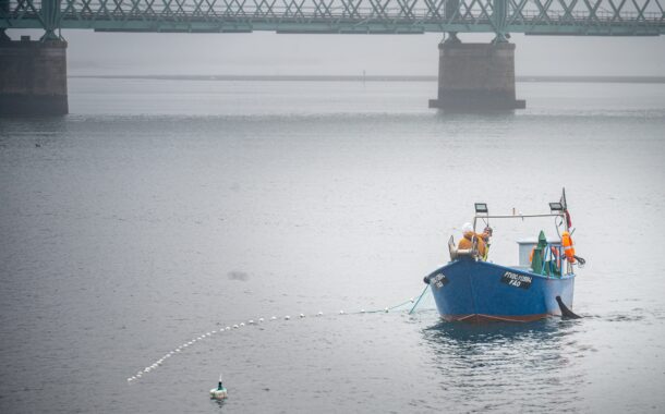 Especialista defende proibição da pesca da lampreia devido à escassez