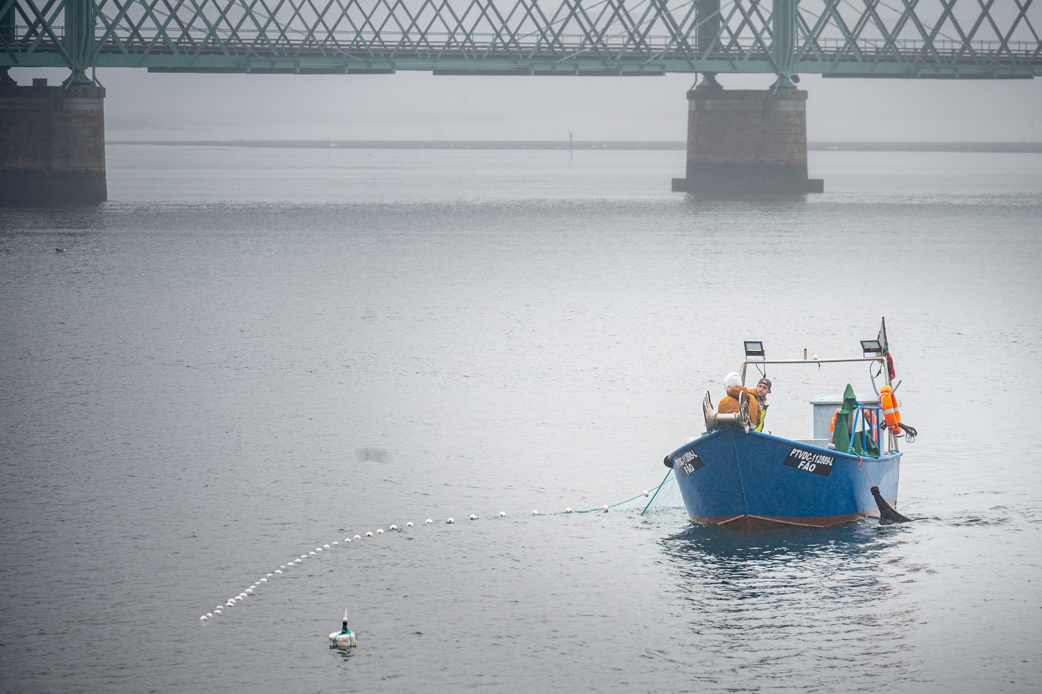 Especialista defende proibição da pesca da lampreia devido à escassez