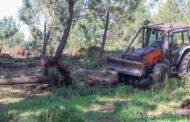 Central de produção de hidrogénio verde já mexe em Melgaço