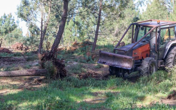 Central de produção de hidrogénio verde já mexe em Melgaço