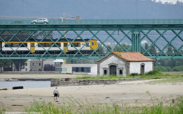 Alto Minho estuda solução rodoviária, ferroviária ou mista entre Viana do Castelo e Porto