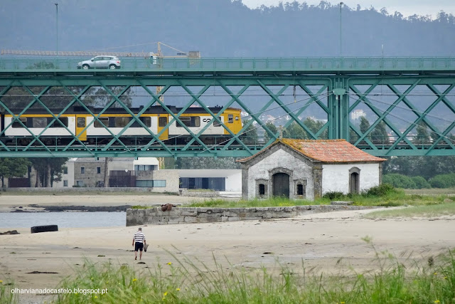 Alto Minho estuda solução rodoviária, ferroviária ou mista entre Viana do Castelo e Porto