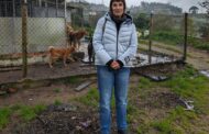 Eleições. Teresa Mota (Livre) considera “essencial” trabalho em rede a nível nacional para promoção do bem-estar animal