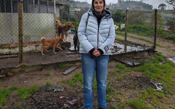 Eleições. Teresa Mota (Livre) considera “essencial” trabalho em rede a nível nacional para promoção do bem-estar animal